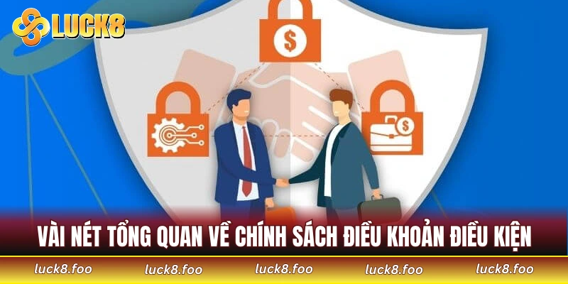 Vài nét tổng quan về chính sách điều khoản điều kiện